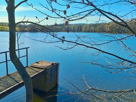 401 224 Sychrovský rybník - kontrola 13.3.26 (2).jpg